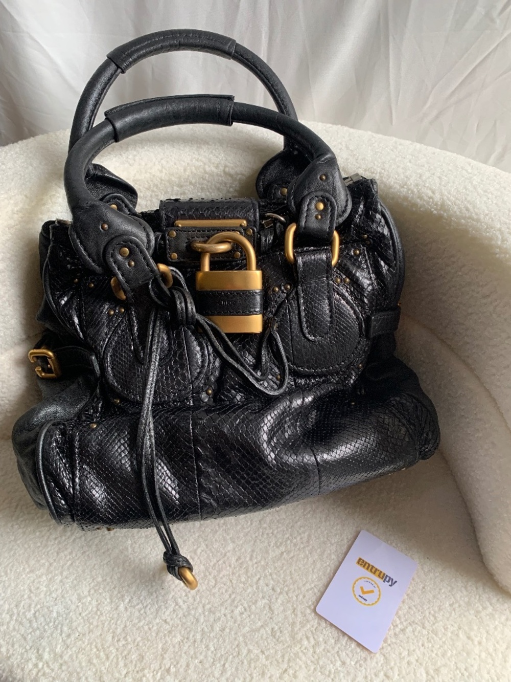Rare Collectible Chloe Python Paddington
